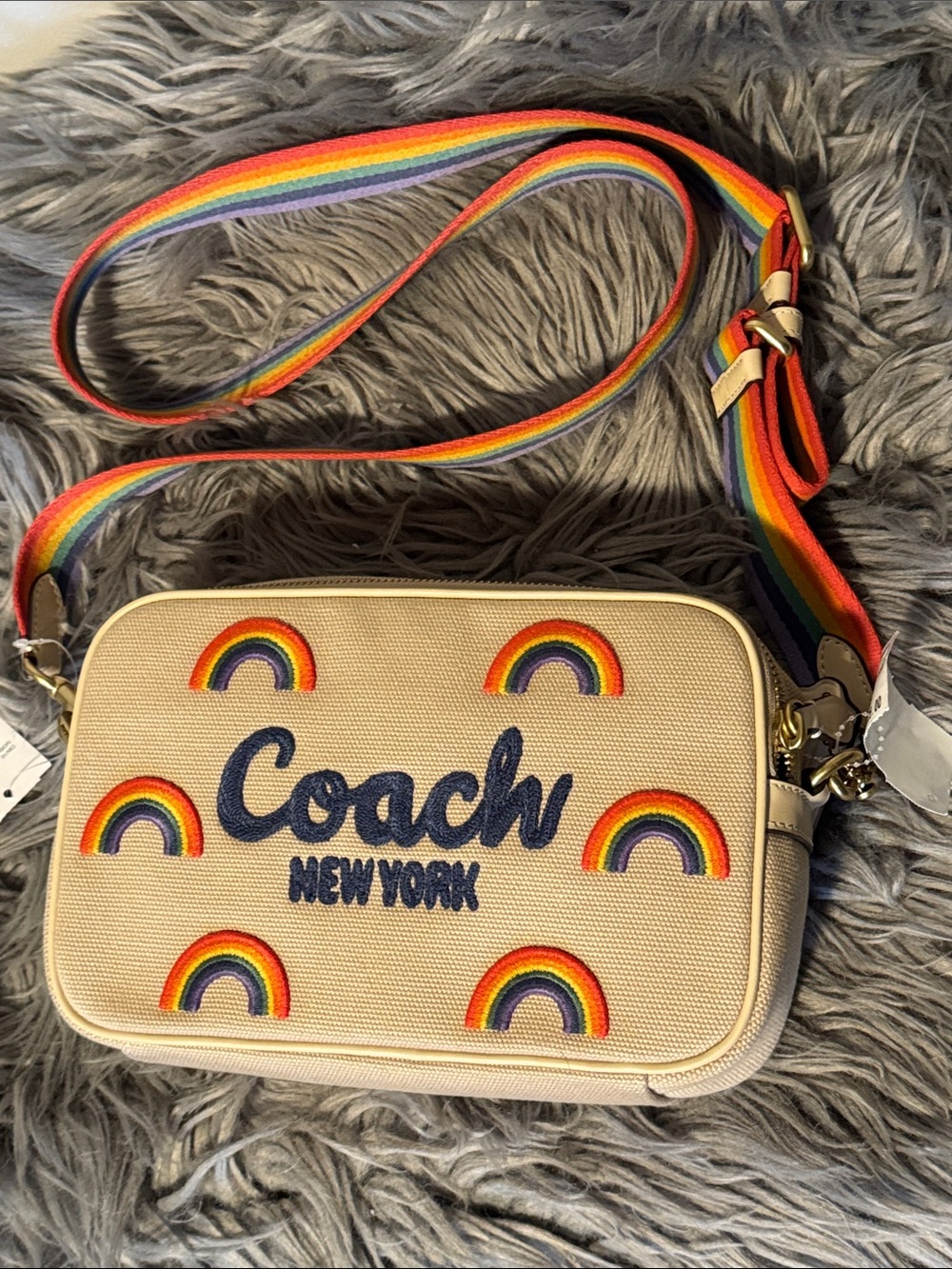 Coach Theo Camera Bag Rainbow NWT C2561-CBV12 Crossbody